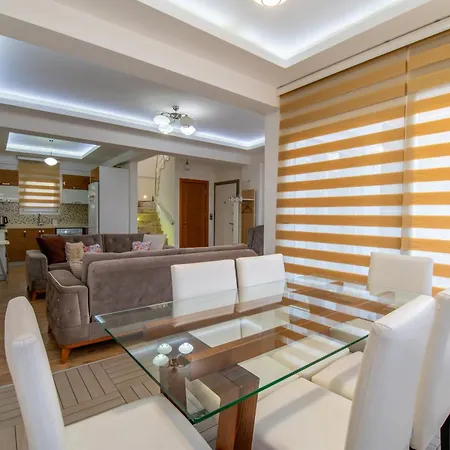 别墅 Bagceciler 1 *