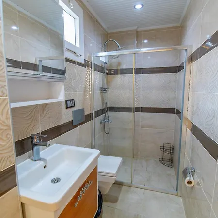 别墅 Bagceciler 1 费特希耶